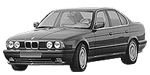 BMW E34 P032D Fault Code